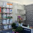 서울샤인 동물병원 이미지