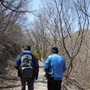 해양호민박 | [스크랩] 신도 탐내는 천혜의 섬, 굴업도 1박 2일 여행기