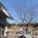 남면농협 청포대간이지소 | [충남/태안] 청포대해수욕장 5분거리, 소나무 숲세권 숙소 ‘소소펜션’