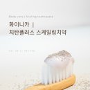 이니카 | 입냄새 원인 관리 │ 스케일링 치약 화이니카 치탄플러스 후기
