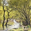 예당호 대흥광시구간 이미지