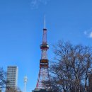 [옥정]블라블라 여행영어 | 신년! 삿포로 여행(3일차)