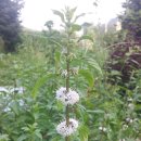 산척중학교 이미지