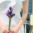 서초대로29길 10 이미지