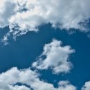 오늘도푸른 이미지