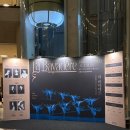11/1, 11/3 국립발레단 라바야데르 후기(김기민, 박세은, 안수연, 조연재)