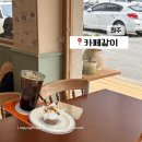 가치있개 | 원주 판부면 신상카페 애견동반 가능 ✦ 카페같이