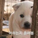 훈지
