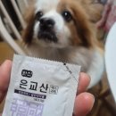 한신약국 | 건강상식 감기 한방과립 한신제약 은교산 엑스과립 내돈내산 후기｜목통증·목마름·기침에 실제 복용...