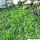 하얀둥지 이미지