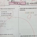 매송초등학교 이미지