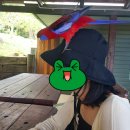DAY 24 : 호주여행 in 브리즈번 / 오랠리 래밍턴 국립공원, 알파카 와이너리, 글로우웜 동굴, 탬버린...