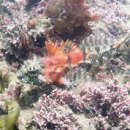 백운포로 이미지