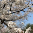 경기도청(구청사)