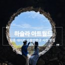 강릉 데이트 가볼만한곳 사진 맛집::하슬라아트월드