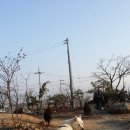 복실이 PC 이미지