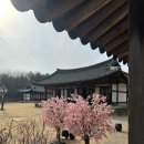 휴 한옥지점 | 한옥스튜디오 예담헌 올인원스페셜 인천 원인재점 | 3월 한옥돌스냅 후기