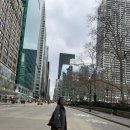 탑메디슨코리아 | 센트럴중앙역, 쉐이크쉑본점, 덤보, 줄리아나스피자, 브루클린브릿지, 탑오브더락, 북창동순두부 맛집까지!