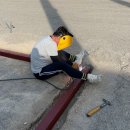 진남체육공원 야구장 이미지