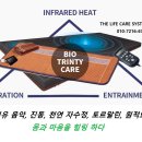 건강 및 웰니스 분야에서 자주 언급되는 PEMF와 퀀텀 에너지 ​ 이미지