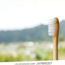 청정과일