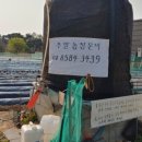 산동농장 이미지