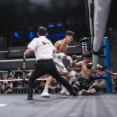 양평챔피온복싱 이미지