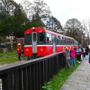 아리산 | 대만 아리산 투어 후기 일일 버스 타이중 당일치기 가오슝 가는법?