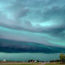 자연의 움직임 이미지