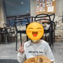 똥강아지 이미지