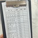 6월 국내여행 전북 부안 샤스타데이지 꽃밭