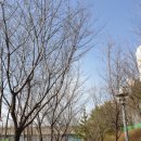 황룡산 둘레길 탄현공원 입구 이미지