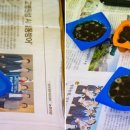 퇴로고가마을 이미지