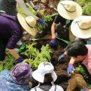 영통구치매안심센터 이미지