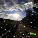 성현유통 이미지