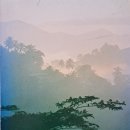 악인도 극락세계에 갈 수 있다고 할 때 대승기신론 전문가는 즉각 반문한다. 거기가 무슨 우주 불량배 수용소인가? 이미지