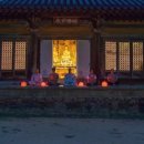 41190-01-07-173 | 여행 맛집. 단돈 3만원으로 떠나는 '절캉스'! 템플스테이 사찰 추천