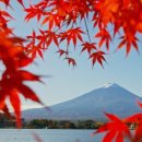 (주)제이제이투어 이미지