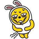 컨트리애견 이미지