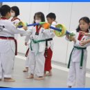 경희대 으뜸 태권도장 이미지