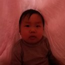 태영이불 이미지