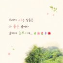 날마다 눈 부시다 / 김달국 이미지