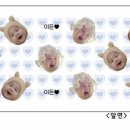서하컴퍼니