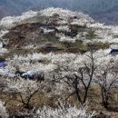 관동주유소 이미지