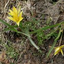 숲속에 아침 이미지