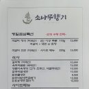 소나무향기 이미지