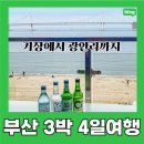 기장횟집민박 | 6월 부산여행 후기▪️3박 4일 여정✖️예산 100만원 리얼 기록📒 (기장:대게, 학리방파제/광안리:오션뷰 숙소...