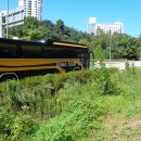 메밀꽃체육관 이미지