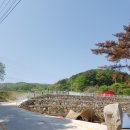 팔공SS오토캠핑장 이미지