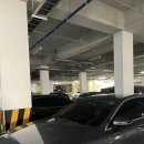 레인보우 당구클럽 | [음성 CC] 3인 라운딩 레인보우힐스 CC 가격 날씨 여름철 라운딩 주의사항